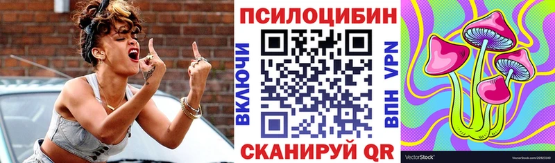 Купить где  Наволоки  Псилоцибиновые грибы мицелий 