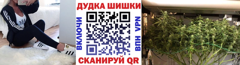 Купить закладки  Наволоки  Канабис ГИДРОПОН 